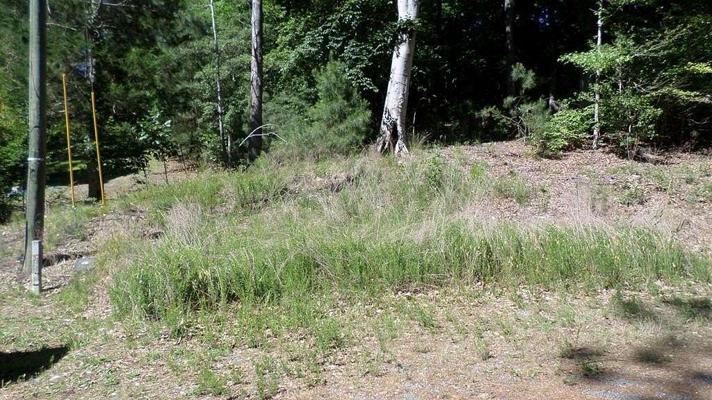 0.43 Acres of Residential Land for Sale in Montross, Virginia