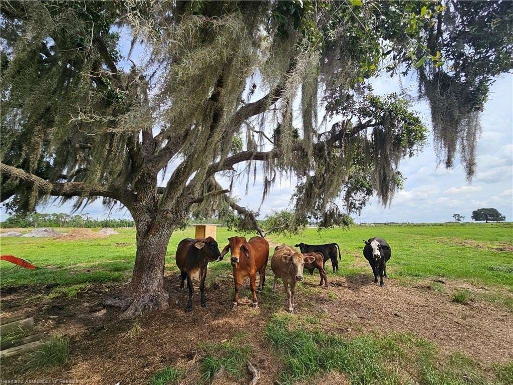 16 Acres of Land for Sale in Venus, Florida