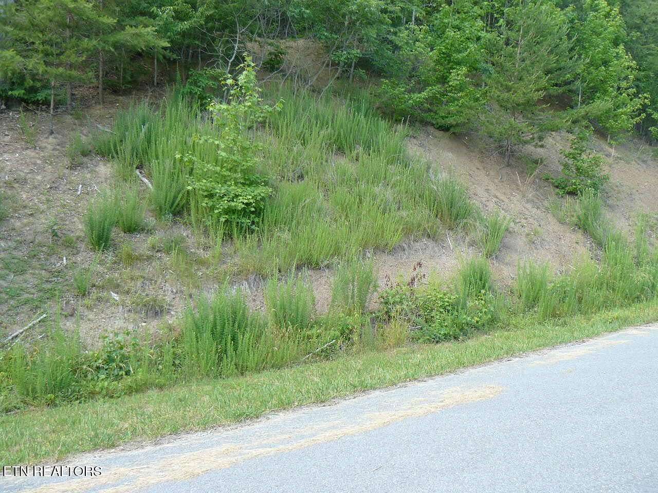 1.29 Acres of Residential Land for Sale in New Tazewell, Tennessee