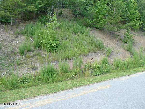 1.29 Acres of Residential Land for Sale in New Tazewell, Tennessee