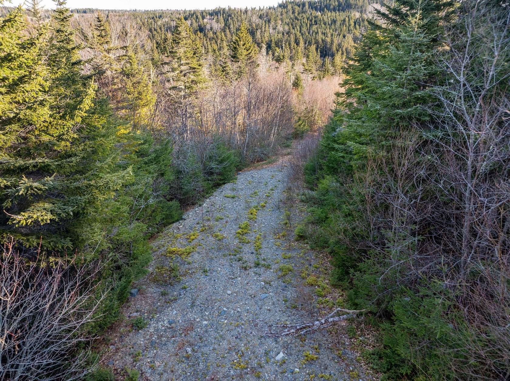 3.5 Acres of Residential Land for Sale in Cutler, Maine