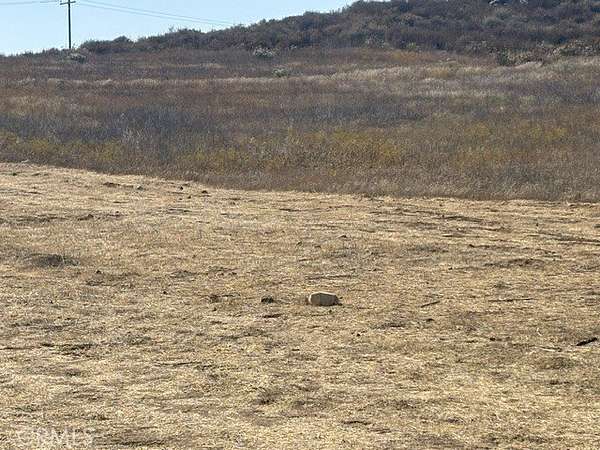 9 Acres of Land for Sale in Winchester, California
