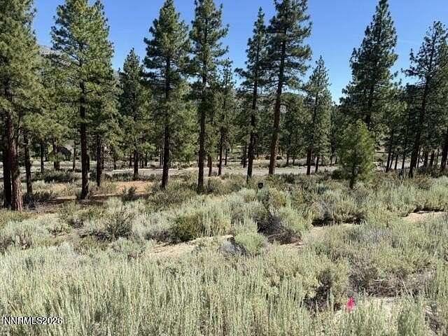 0.48 Acres of Residential Land for Sale in Carson City, Nevada