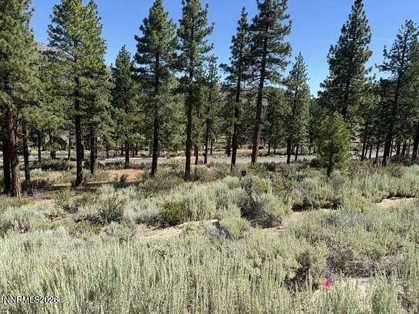 0.48 Acres of Residential Land for Sale in Carson City, Nevada