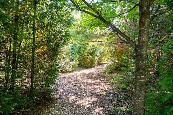 5 Acres of Residential Land for Sale in Sister Bay, Wisconsin