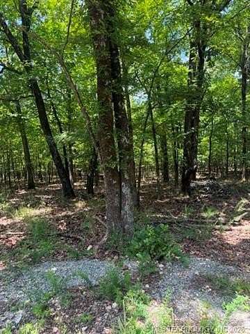 20 Acres of Land for Sale in Salina, Oklahoma