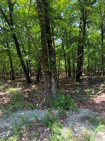 20 Acres of Land for Sale in Salina, Oklahoma