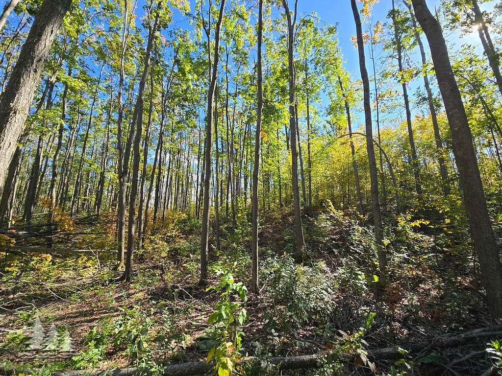10 Acres of Recreational & Residential Land for Sale in Lewiston, Michigan