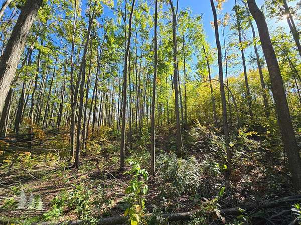 10 Acres of Recreational & Residential Land for Sale in Lewiston, Michigan