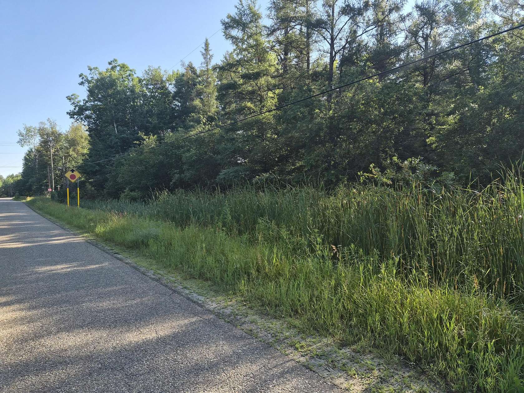 Residential Land for Sale in Grayling, Michigan