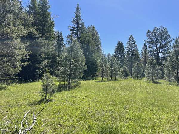 1.58 Acres of Land for Sale in Trout Creek, Montana