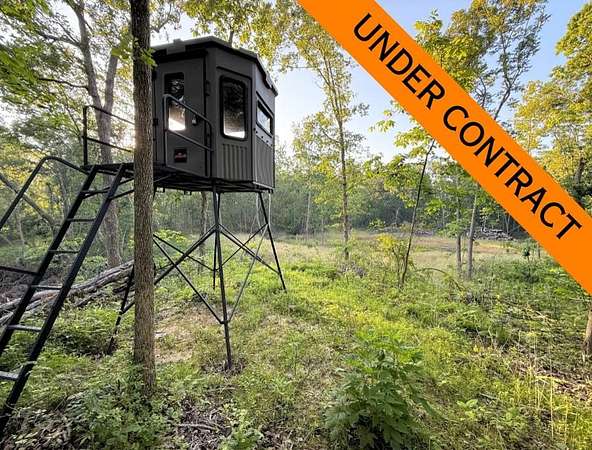 40 Acres of Recreational Land for Sale in Atlanta, Missouri