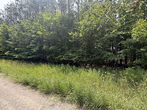 1.82 Acres of Land for Sale in Cheboygan, Michigan