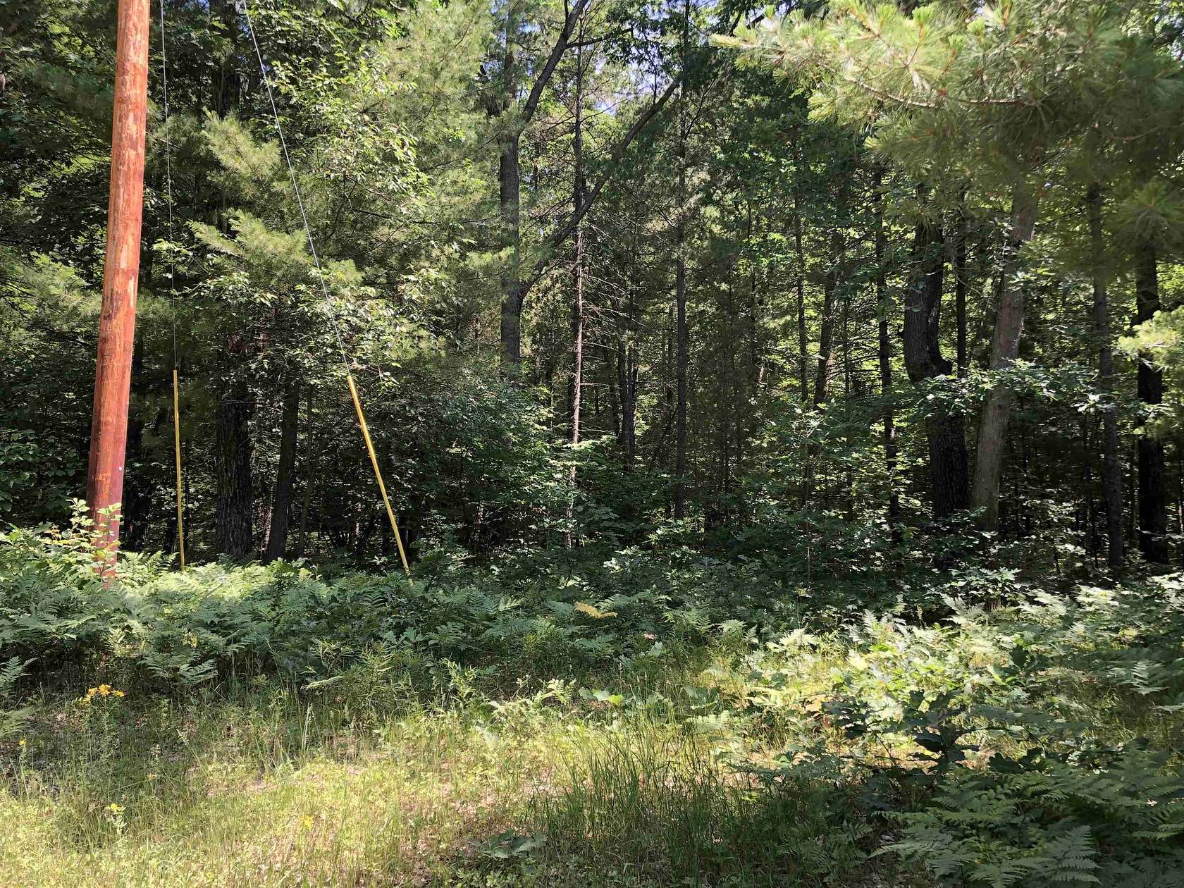 20.7 Acres of Recreational Land for Sale in Harrison, Michigan