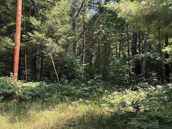 20.7 Acres of Recreational Land for Sale in Harrison, Michigan