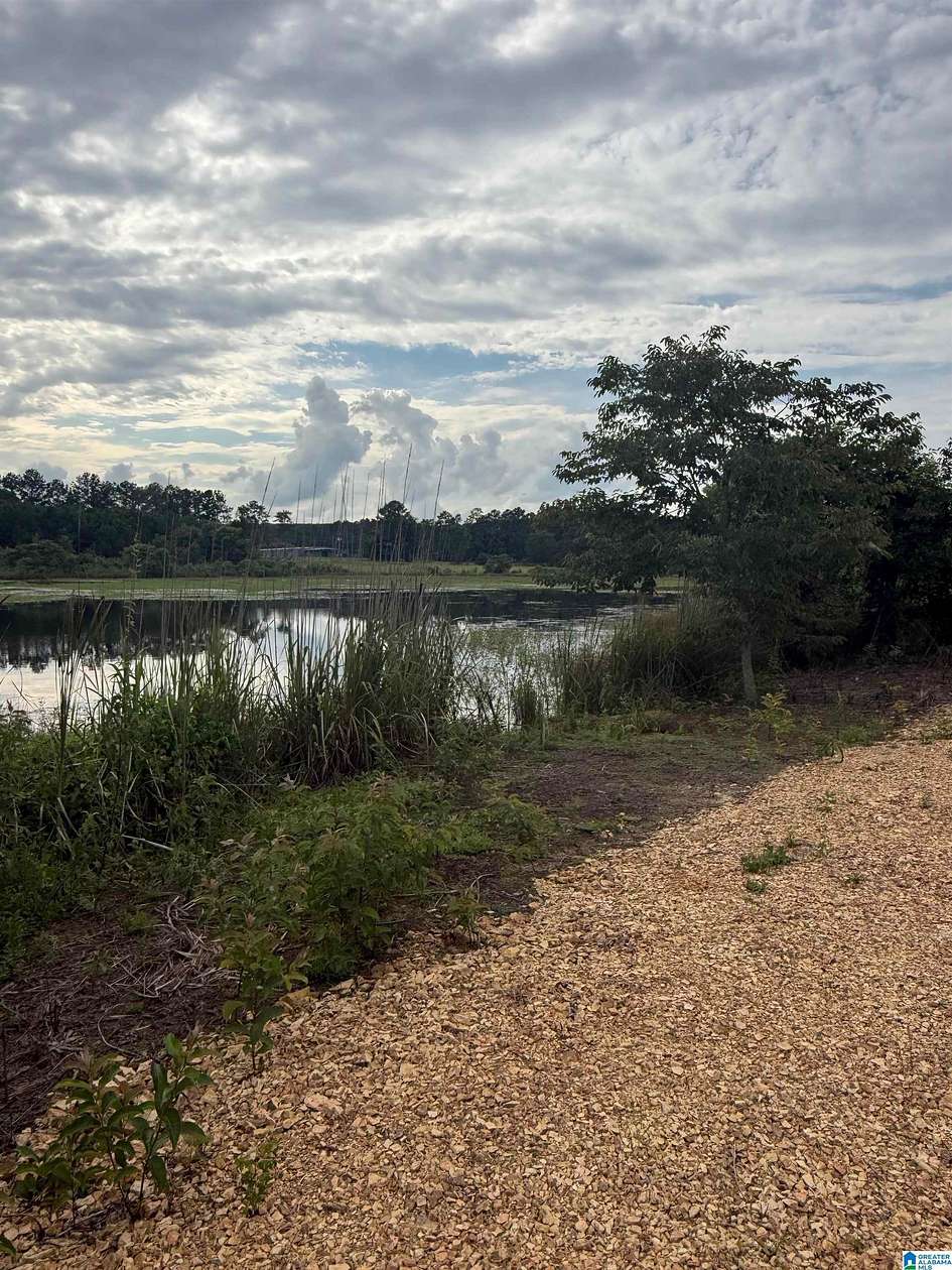 13 Acres of Recreational & Residential Land for Sale in Ashville, Alabama