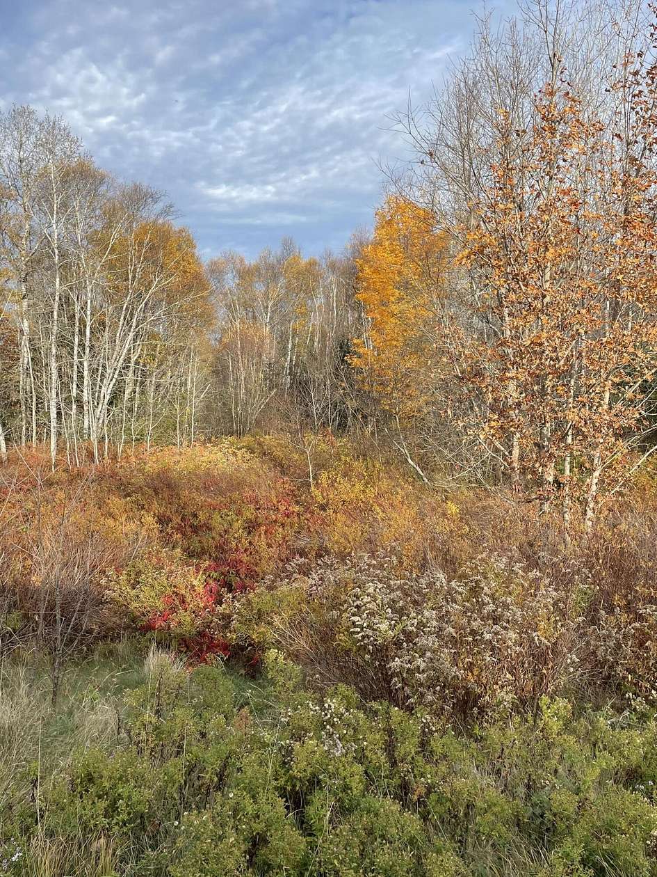 6.88 Acres of Land for Sale in Calais, Maine