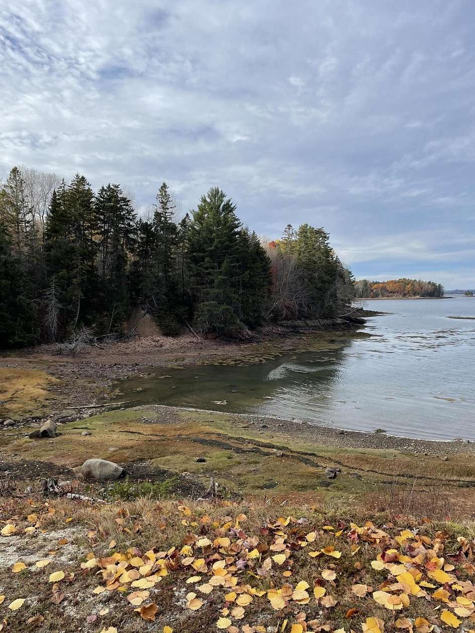 6.88 Acres of Land for Sale in Calais, Maine