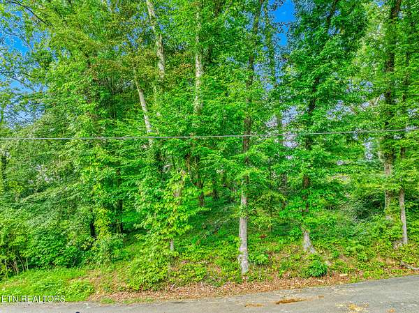 0.75 Acres of Residential Land for Sale in Newport, Tennessee