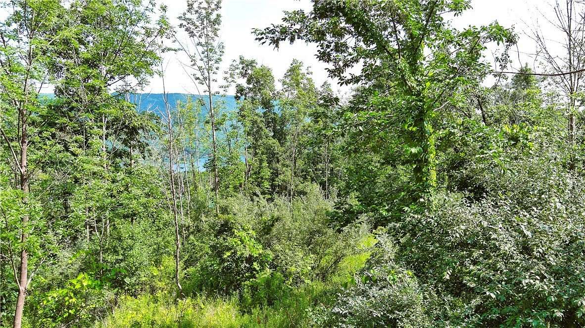 3 Acres of Residential Land for Sale in Naples, New York