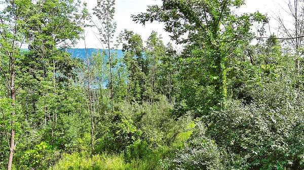 3 Acres of Residential Land for Sale in Naples, New York