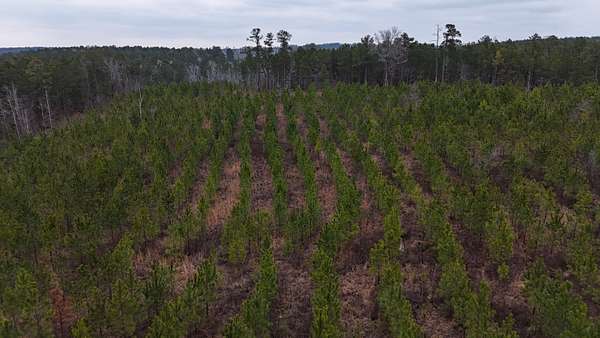 131 Acres of Recreational Land for Sale in Sparta, Georgia