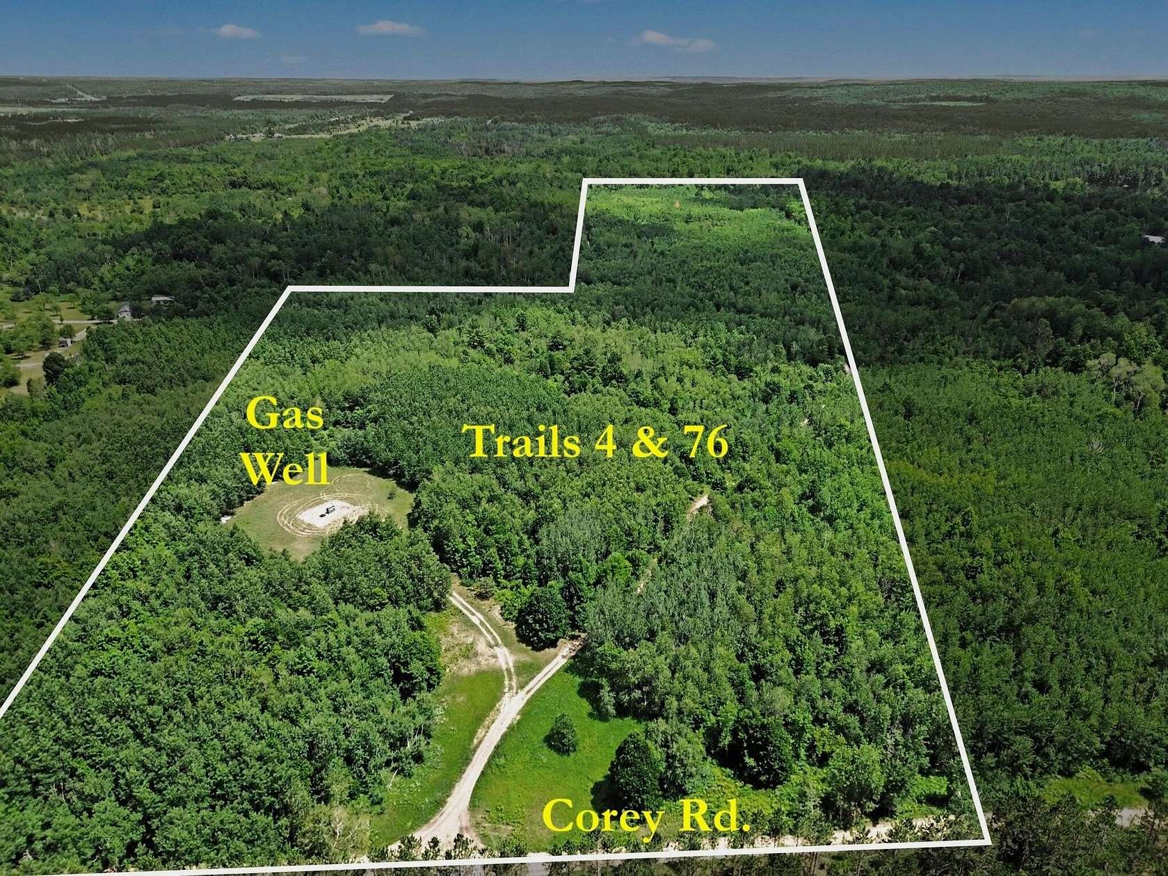 60 Acres of Land for Sale in Mancelona, Michigan