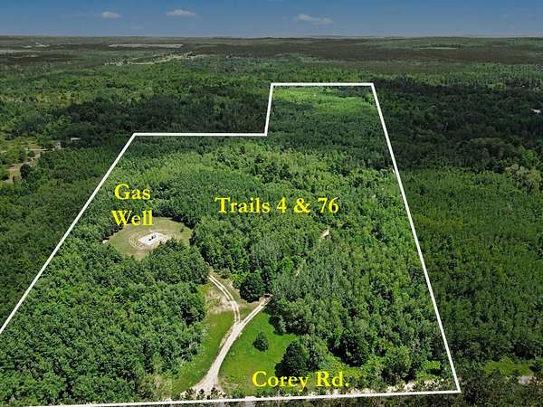 60 Acres of Land for Sale in Mancelona, Michigan