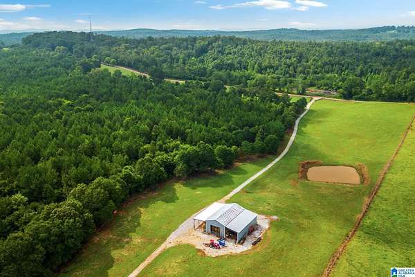 129 Acres of Agricultural & Residential Land for Sale in Lincoln, Alabama