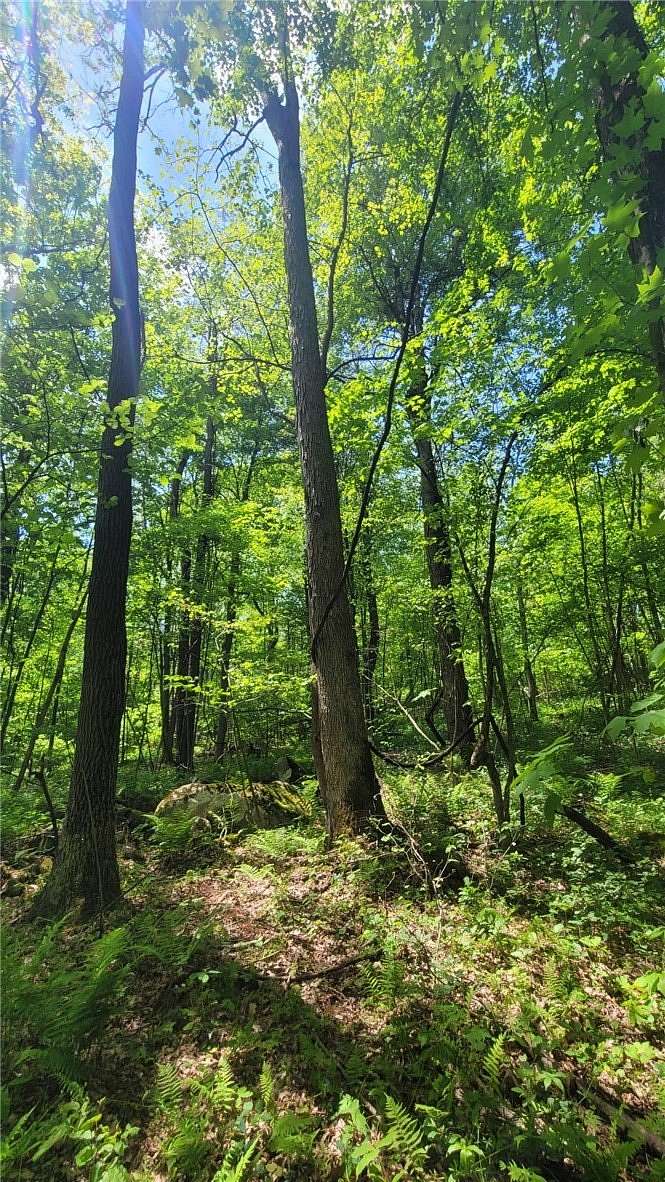 1 Acre of Land for Sale in Normalville, Pennsylvania