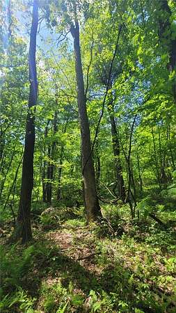1 Acre of Land for Sale in Normalville, Pennsylvania