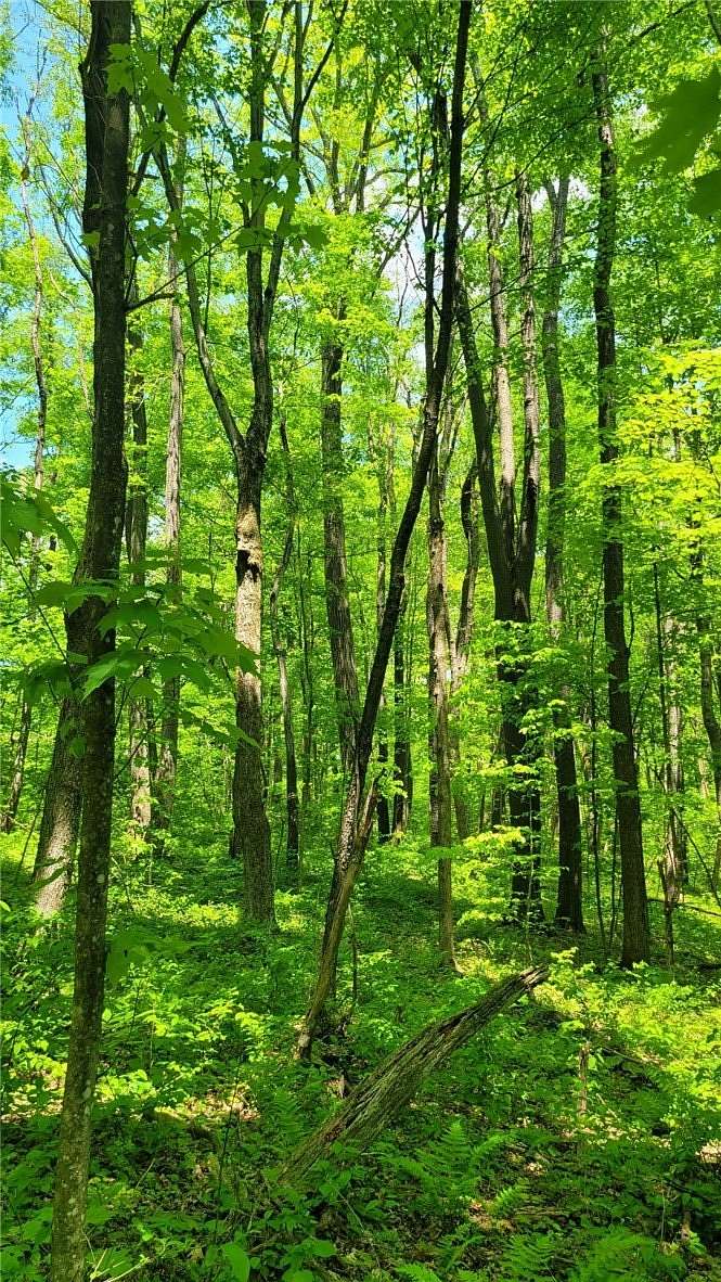 5.12 Acres of Land for Sale in Connellsville, Pennsylvania