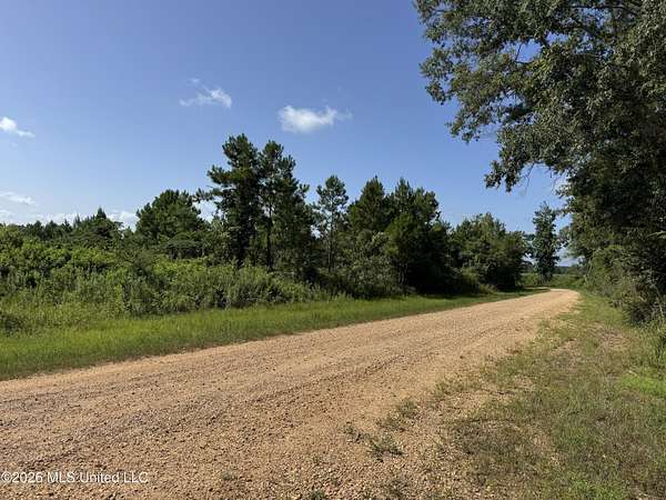 80 Acres of Recreational & Residential Land for Sale in Ruth, Mississippi