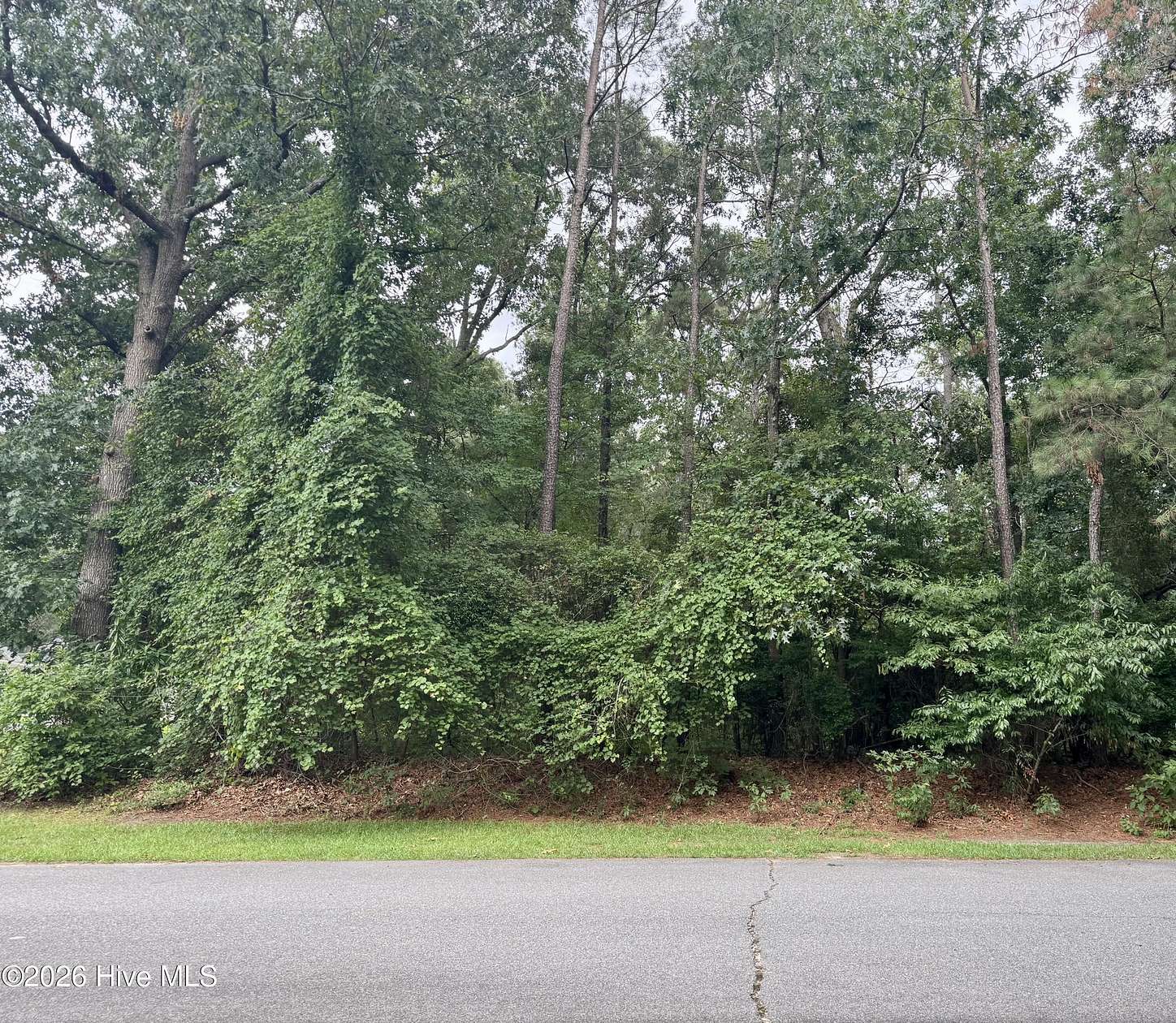 1.14 Acres of Residential Land for Sale in Goldsboro, North Carolina