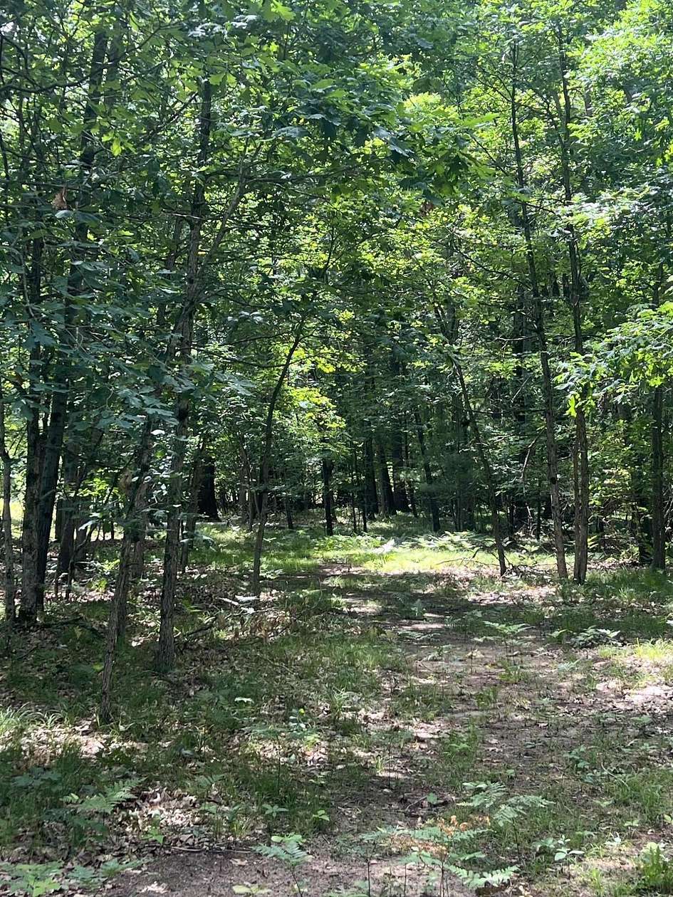 7.44 Acres of Residential Land for Sale in Newaygo, Michigan