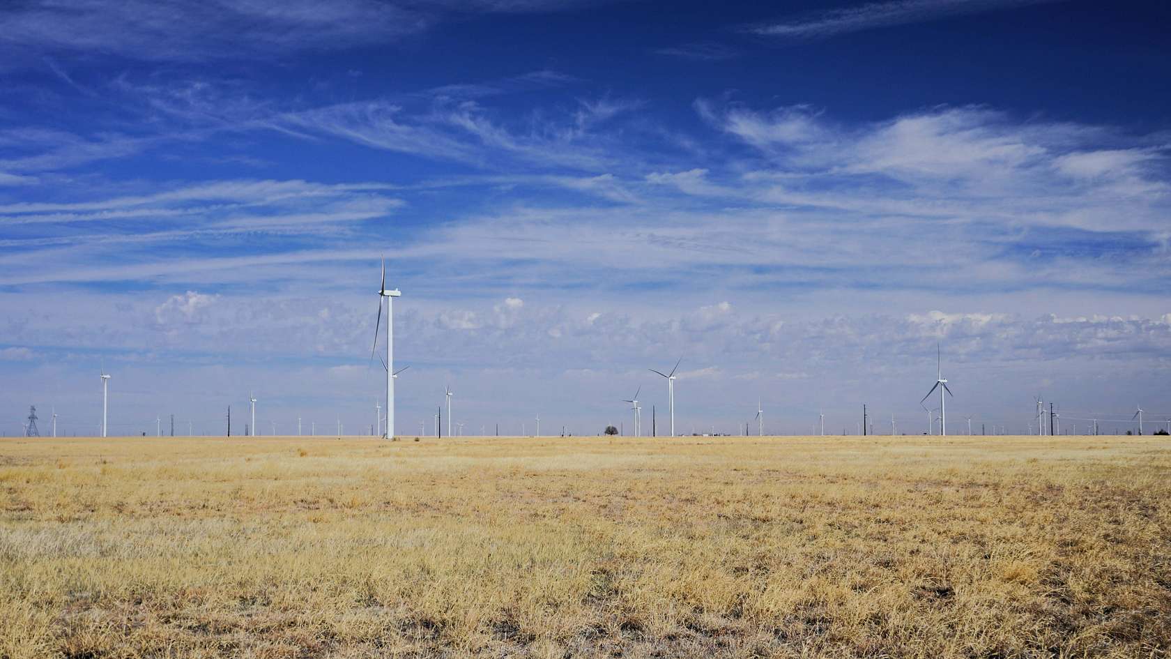 1,313 Acres of Land for Sale in Petersburg, Texas