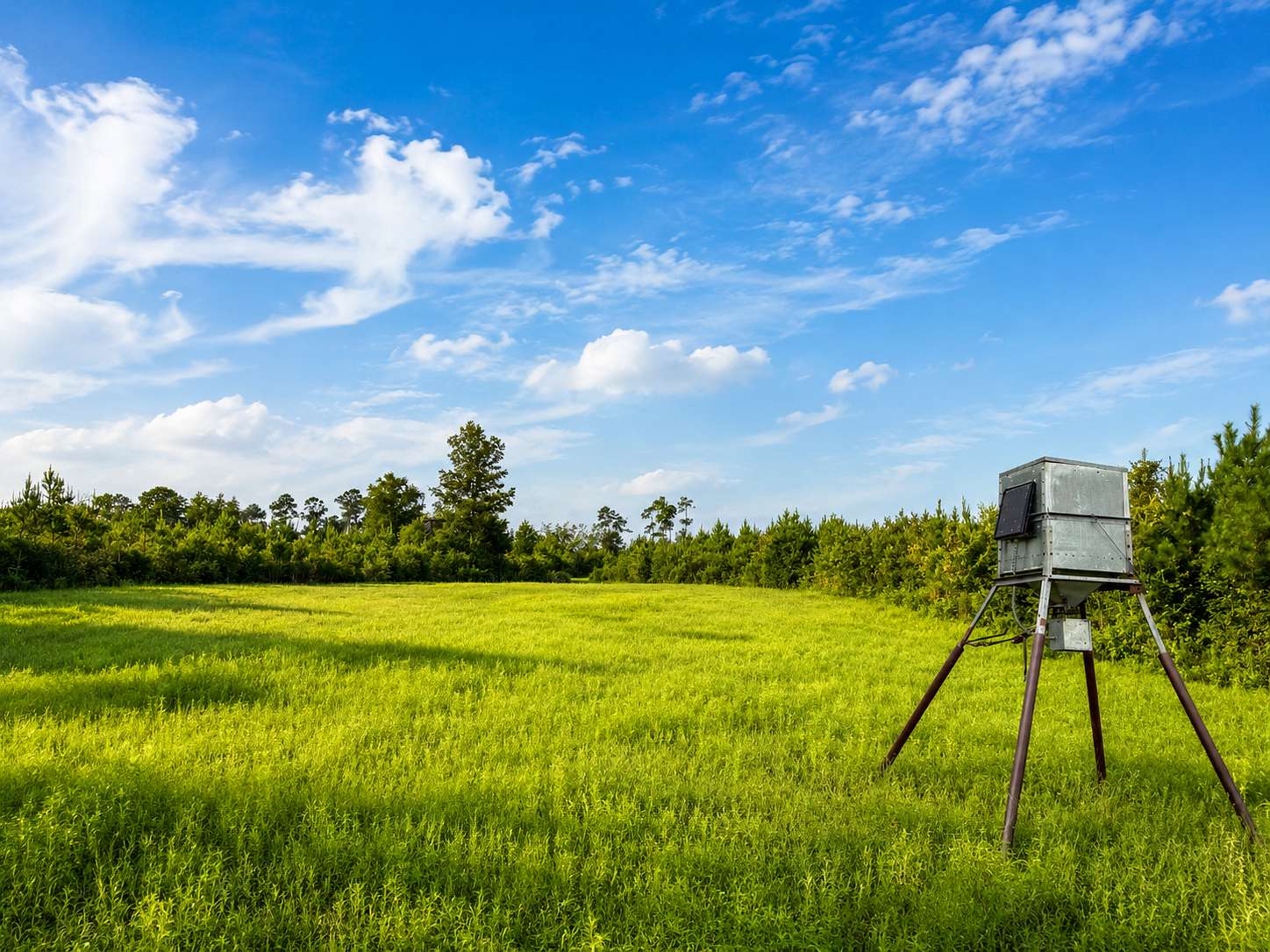 285 Acres of Recreational Land for Sale in Marianna, Florida