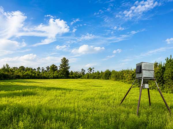 285 Acres of Recreational Land for Sale in Marianna, Florida
