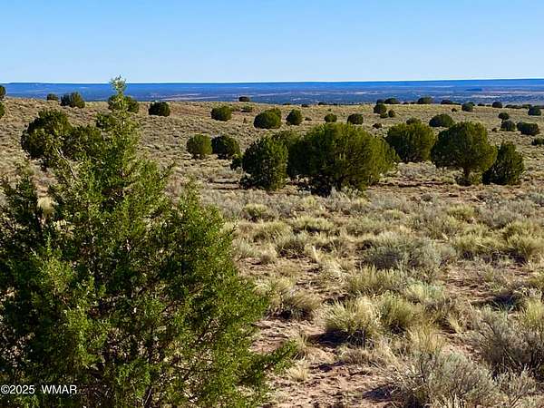 36.8 Acres of Recreational & Residential Land for Sale in Concho, Arizona