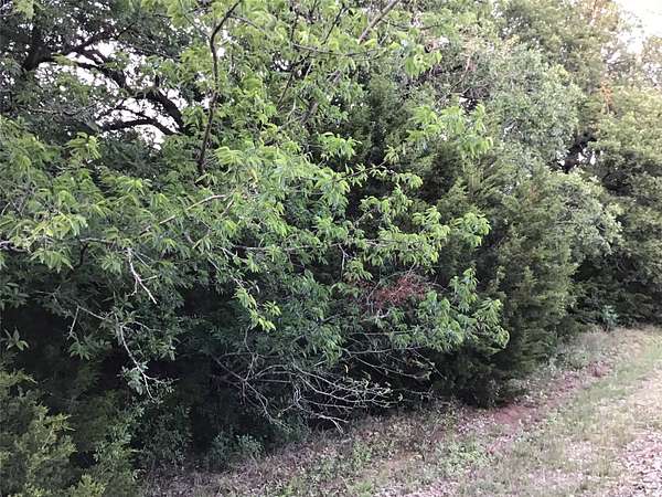 0.7 Acres of Residential Land for Sale in Whitney, Texas