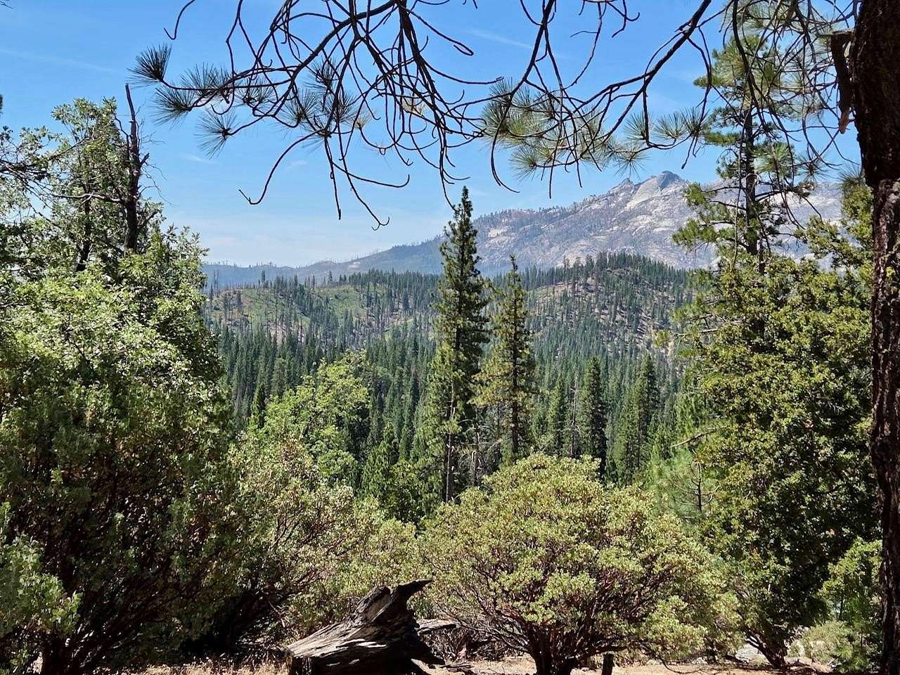 1.25 Acres of Residential Land for Sale in North Fork, California