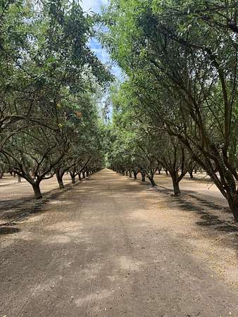 147 Acres of Land for Sale in Chowchilla, California