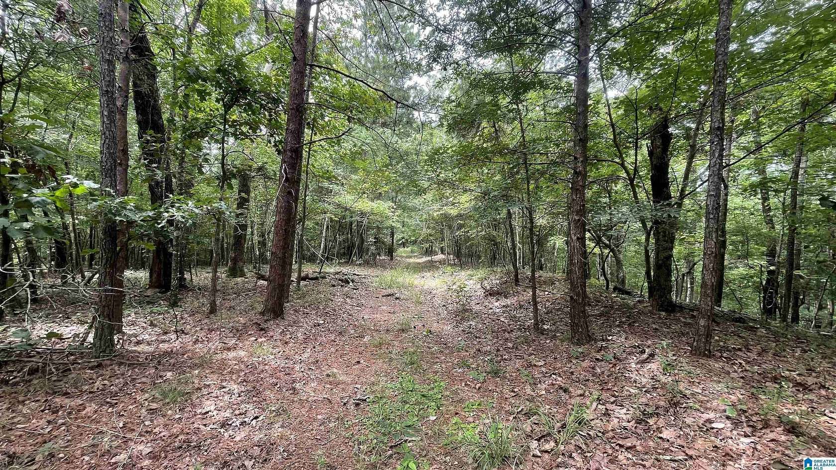 24.9 Acres of Recreational & Residential Land for Sale in Bessemer, Alabama