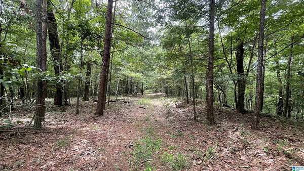 24.9 Acres of Recreational & Residential Land for Sale in Bessemer, Alabama