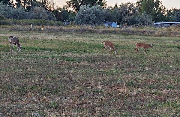 0.25 Acres of Residential Land for Sale in Billings, Montana
