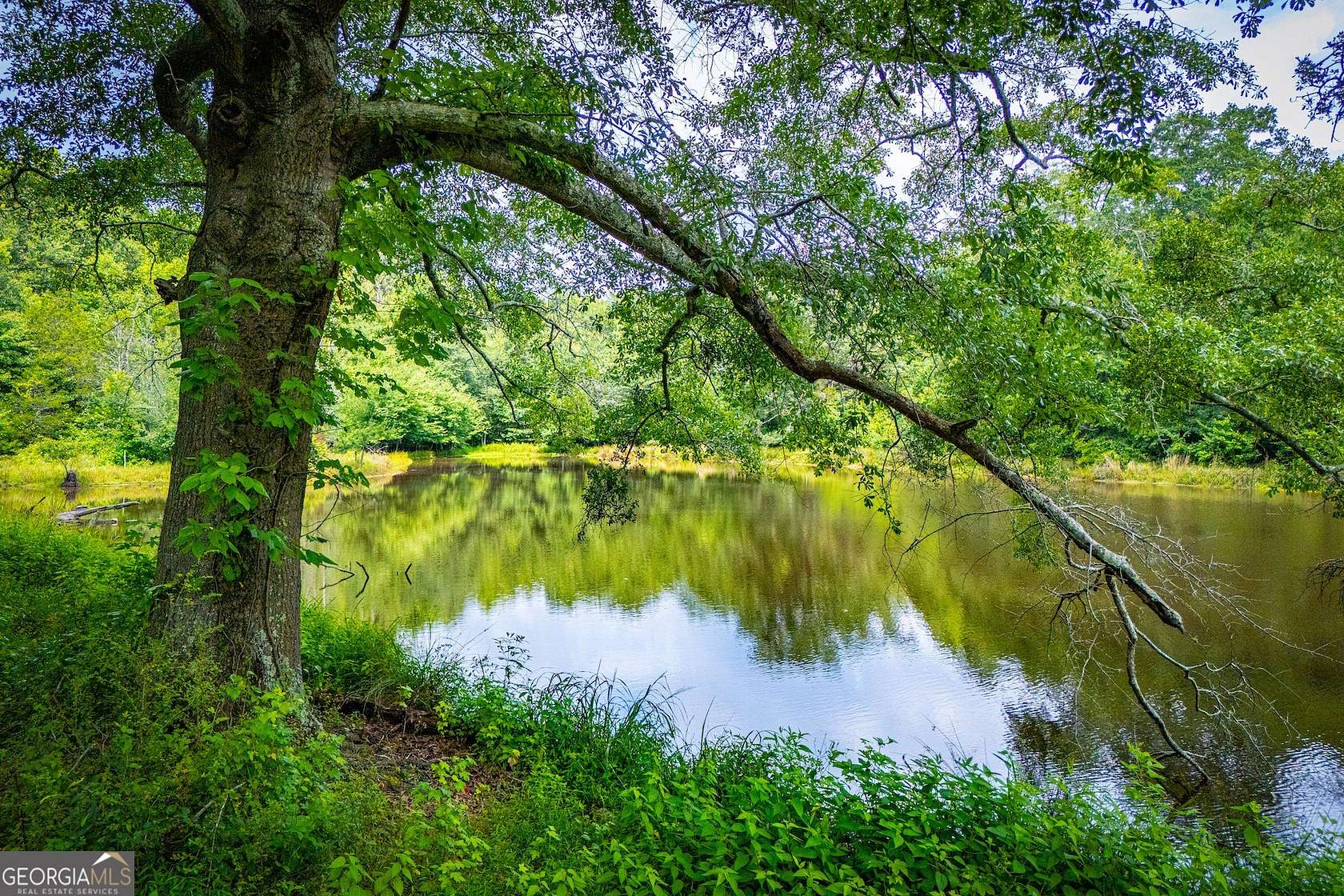 58.5 Acres of Recreational & Residential Land for Sale in Temple, Georgia