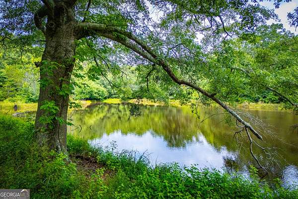 58.5 Acres of Recreational & Residential Land for Sale in Temple, Georgia