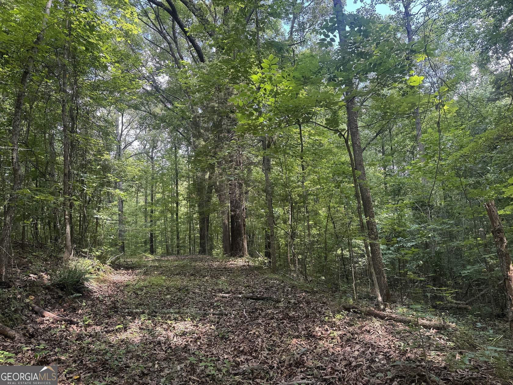 16 Acres of Land for Sale in Franklin, Georgia