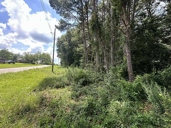 0.43 Acres of Residential Land for Sale in Opp, Alabama