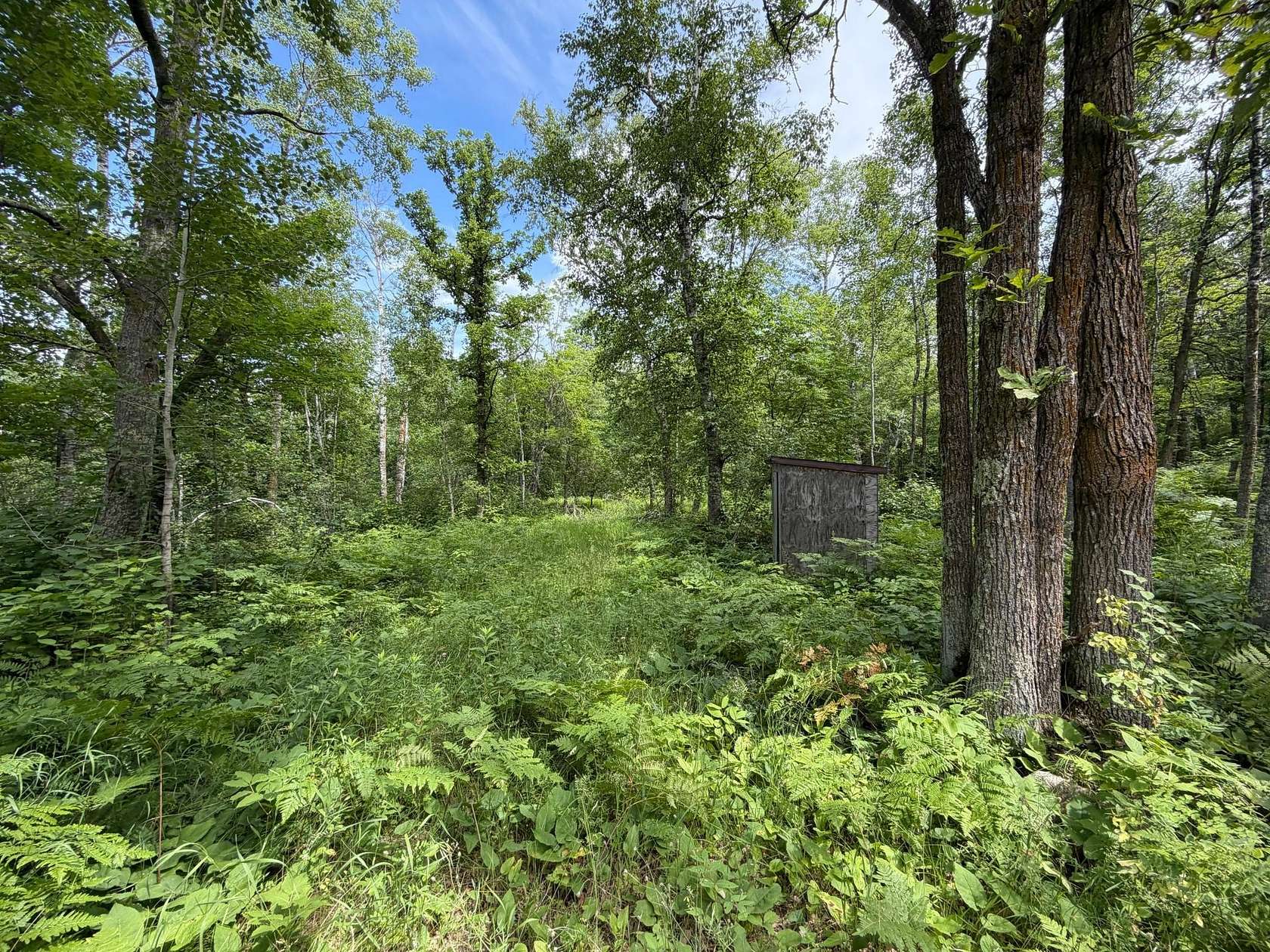 16.6 Acres of Recreational & Residential Land for Sale in Laporte, Minnesota